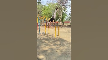 Calisthenic move  | on gymnastic parallel bars  #short #shortvideo #fristshortvideo