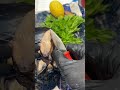 #viral #mussels #cozze #seafood #cook
