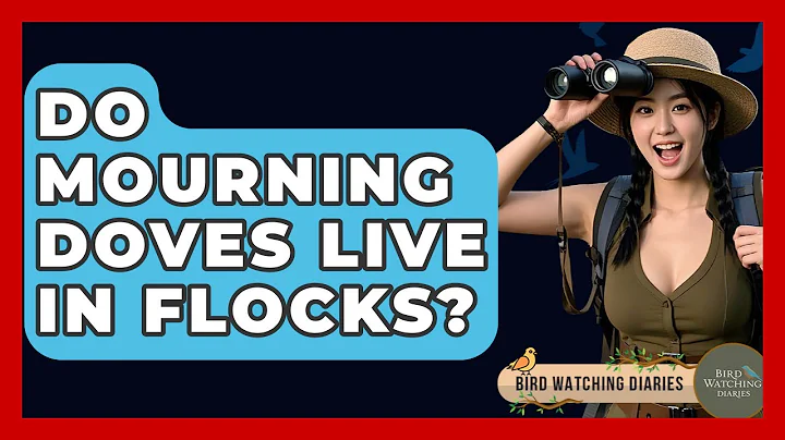 Do Mourning Doves Live In Flocks? - Bird Watching Diaries
