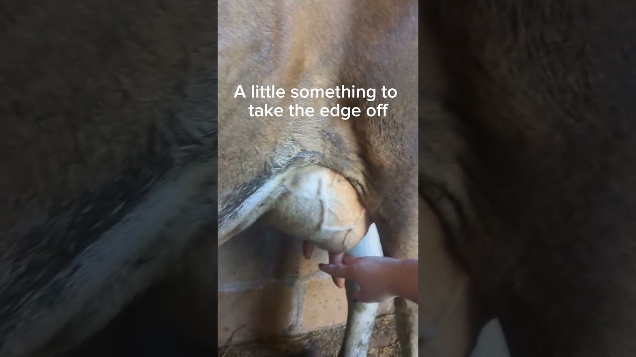 Just a little something to take the edge off! 