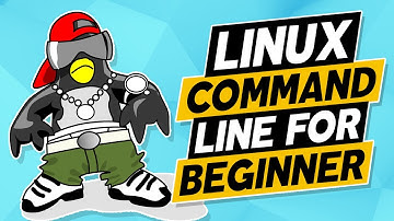 Linux for Beginners: Using Top to manage/monitor processes