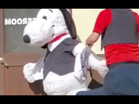 Snoopy Mascot Costume California S Great America Peanuts The Music Goes Round And Around 2024