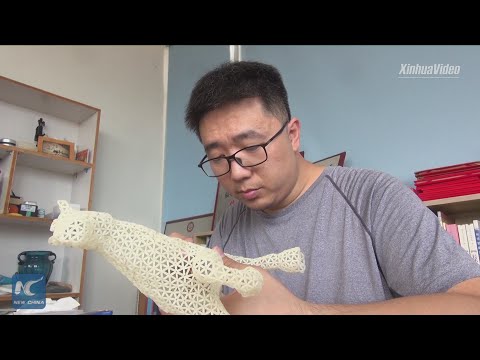 Creating artworks with rice grains