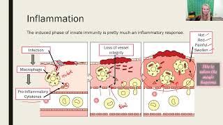 Innate Immunity: the Induced Response to Infection - Part 1 (2023 Update)