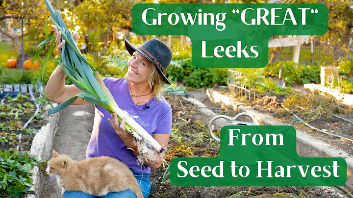 Growing Great Leeks From Seed to Harvest & Best Seasonal Varieties