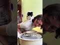 The Cat Amazed Its Owner With Its Talent