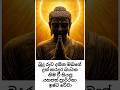 උදා වූ අද දවස ඔබට සුබ වේවා ❤️ #srilanka #sinhala #quotes #budha #motivation #love #motivational