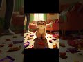 sweets love #shorts #aiimage #cat #funnyvideo #catlover