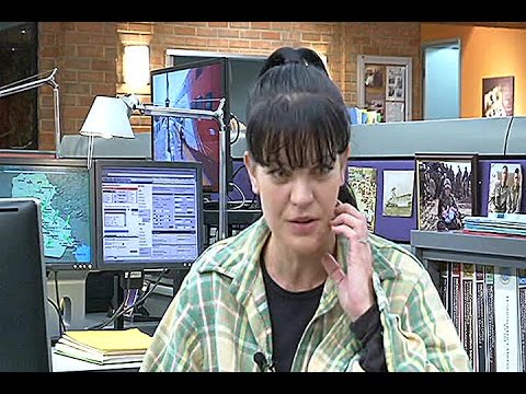 Actress Pauley Perrette's Hot Bikini Photo