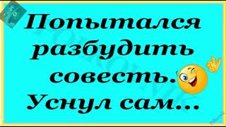 Приколы нашего городка. Попытался разбудить совесть...