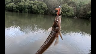 Solo lure fishing sesh #2 @ the Georges River | Soft Plastics | Sydney | Sutherland Shire screenshot 4