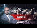 Оборотни. "Как устроен мир" с Тимофеем Баженовым. (01.12.2021).