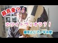 【超貴重？！】ホワイトヴィオラで音色弾き比べ／「瞳をとじて」平井堅【弾いてみた】