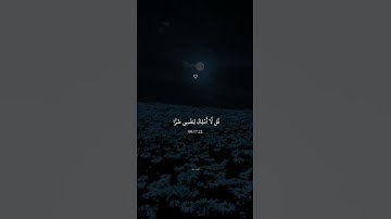 قُل لَّا أَمْلِكُ لِنَفْسِي ضَرًّا وَلَا نَفْعًا || القارئ عبد الرحمن مسعد