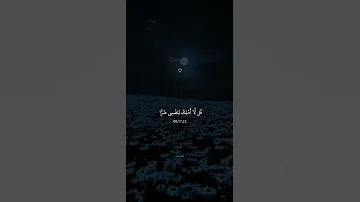 ق ل ل ا أ م ل ك ل ن ف س ي ض ر ا و ل ا ن ف ع ا القارئ عبد الرحمن مسعد 