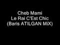 cheb mami le rai cest chic baris atilgan mix