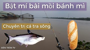 BẬT MÍ BÀI MỒI BÁNH MÌ CHUYÊN TRỊ CÁ TRA SÔNG