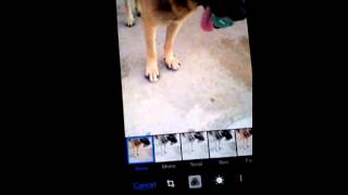 What`s on my iPod 5 iOS UPDATE! screenshot 5