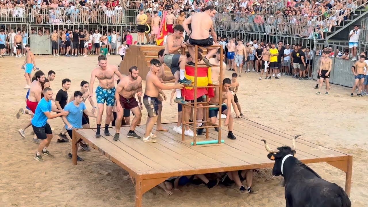 Bous a la Mar de Denia 2025