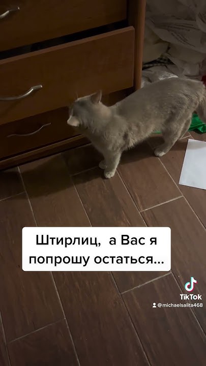 Штирлиц, а Вас я попрошу остаться… - YouTube