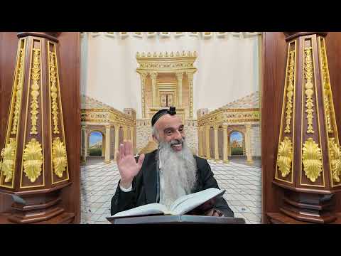 הרב מאיר דוד שמואלי - הלכות תפילת שמונה עשרה סימן קי"ז • דיני ברכת השנים