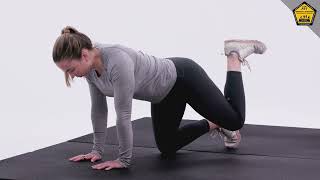 Quadruped Hip Extension Final