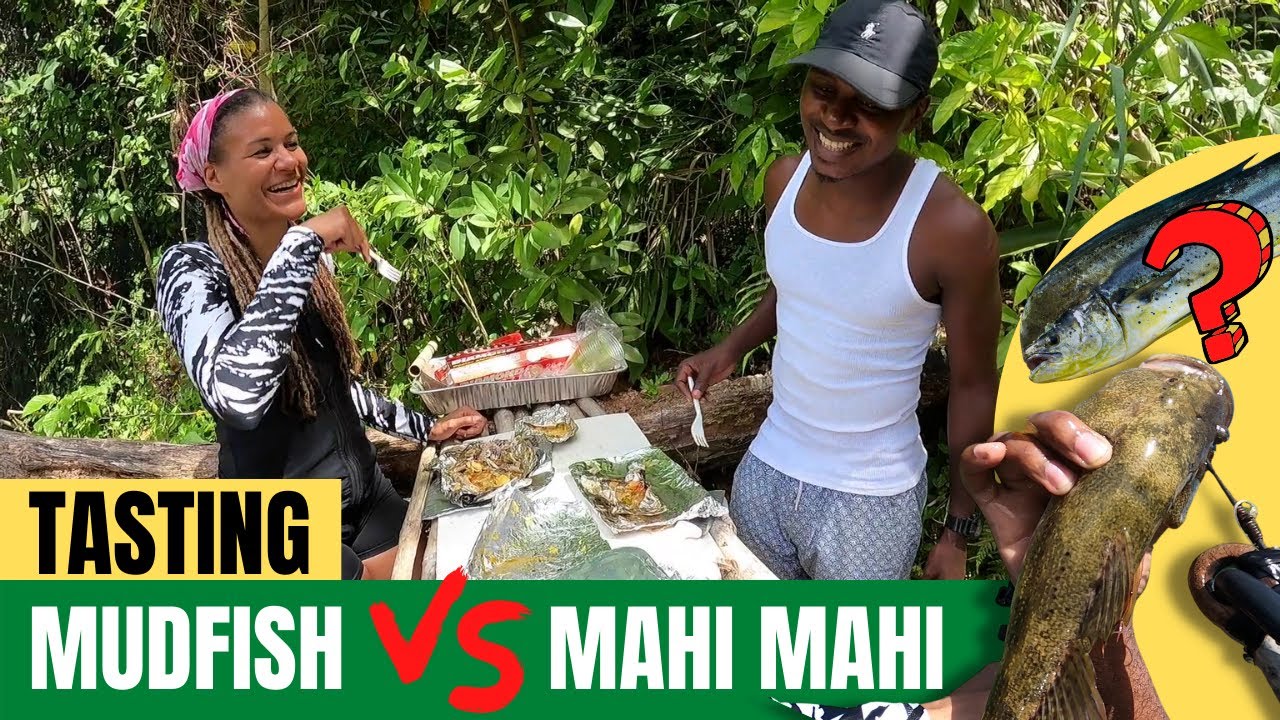 MUDFISH VS MAHI MAHI CATCH & COOK FT YAAD STYLE FISHING YouTube