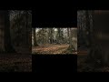 The Unseen Archives
