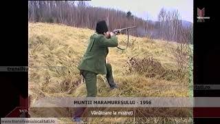 MUNȚII MARAMUREȘULUI  (1996) - Vânătoare la mistreți