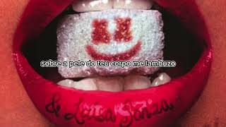 Marshmello & Luisa sonza - sou musa do verão (lyrics) Resimi