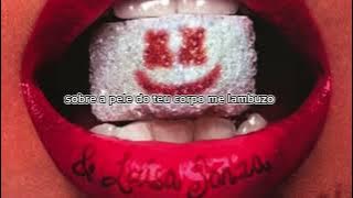 Marshmello & Luisa sonza - sou musa do verão (lyrics)