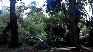 2011-07-11 Wind Damage.3gp