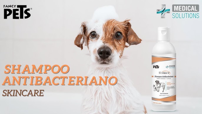 Skincare Jabon Antiseborreico  Fancy Pets Medical Solutions 