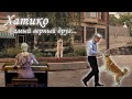 Хатико: Самый верный друг || Hachi: A Dog’s Tale