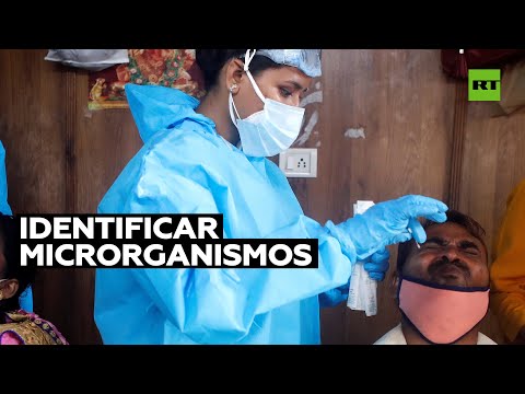 Vídeo: Los Científicos Rusos Decidieron Seriamente Encontrar El 