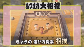 【あつまれ大相撲】相撲を取ろう！(How to Play SUMO in ACNH with English subtitle)
