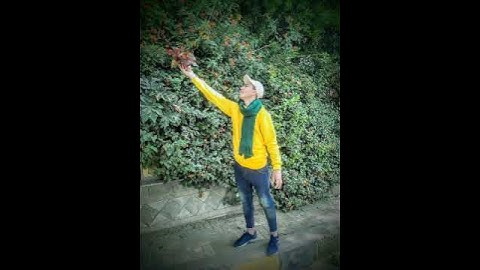 ماتيسر من سورة الرحمن بصوت