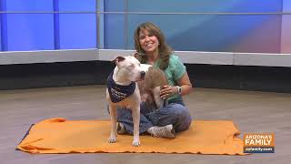 Pets on Parade (full episode) July 11, 2026