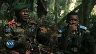 KUNDI LA ADF LAZIDIWA NA MAJESHI YA UGANDA NA DRC CONGO