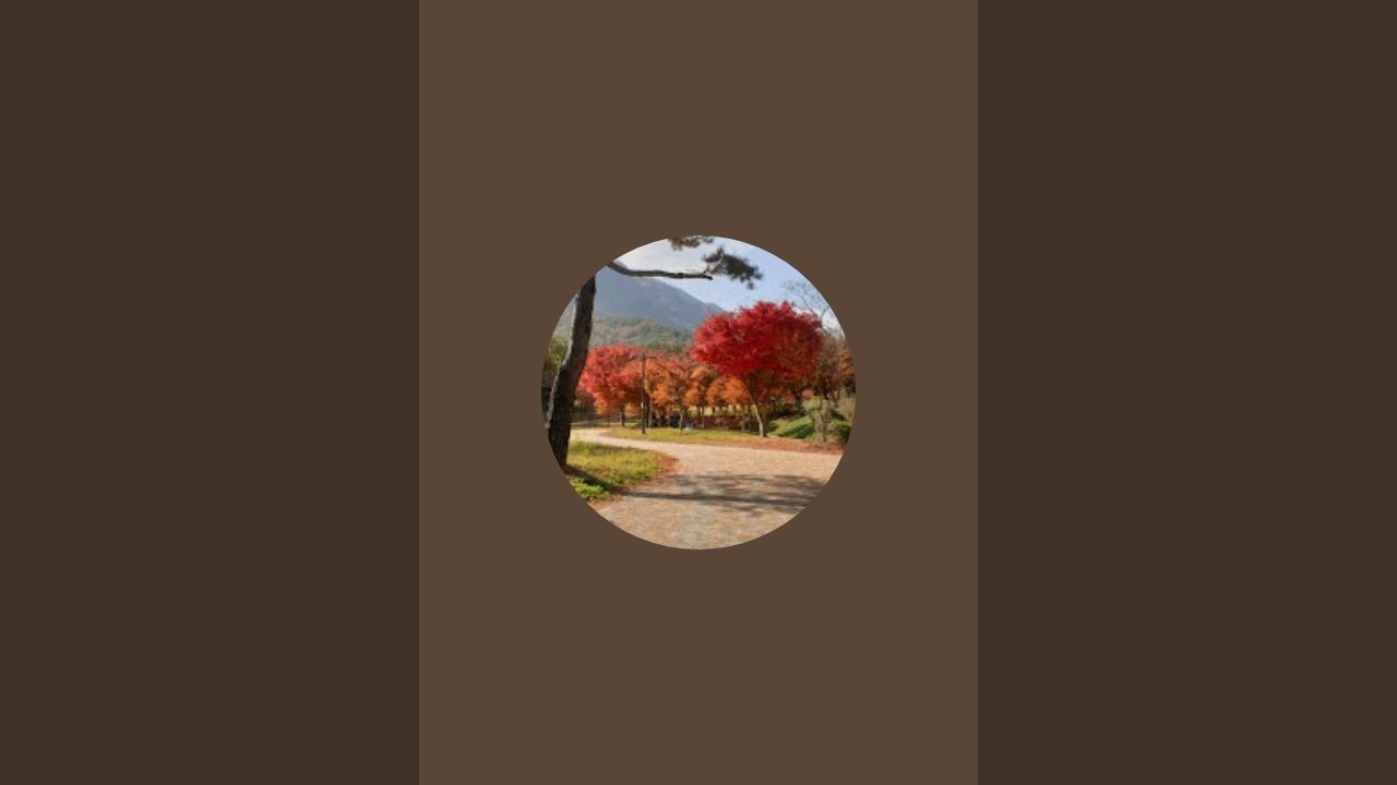 댓길  세상이구나