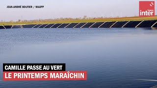 Le printemps maraîchin