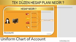 Tek Düzen Hesap Planı Nedir? Resimi