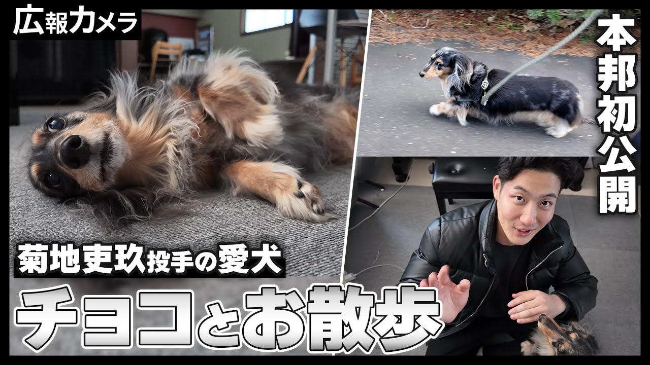 菊地吏玖投手の原点を探す旅に出発！愛犬チョコ編【広報カメラ】