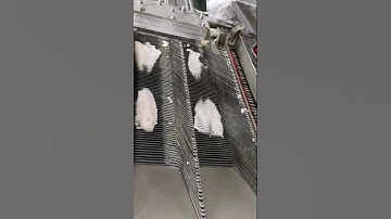 Automatic CNC Fish Slicing Machine