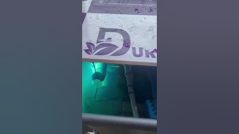 Cá koi bị stress và làm hồ nổi nhiều bọt khó tan, ae vào kênh xem cách khắc phục #cakoi #shorts