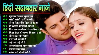 Hindi Gana🌹Sadabahar Song 💖हिंदी गाने 💔Purane Gane Mp3 💕Filmi Gaane अल्का याग्निक कुमार सानू गीत