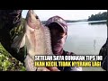 Tips Mancing Nila Agar tidak di serang ikan kecil#MM-312.