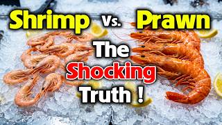 Udang vs. Prawn? Perbedaan Rahasia yang Perlu Anda Ketahui