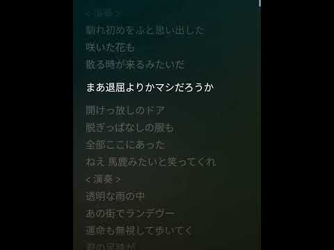 ランデヴー シャイトープ 歌詞付き