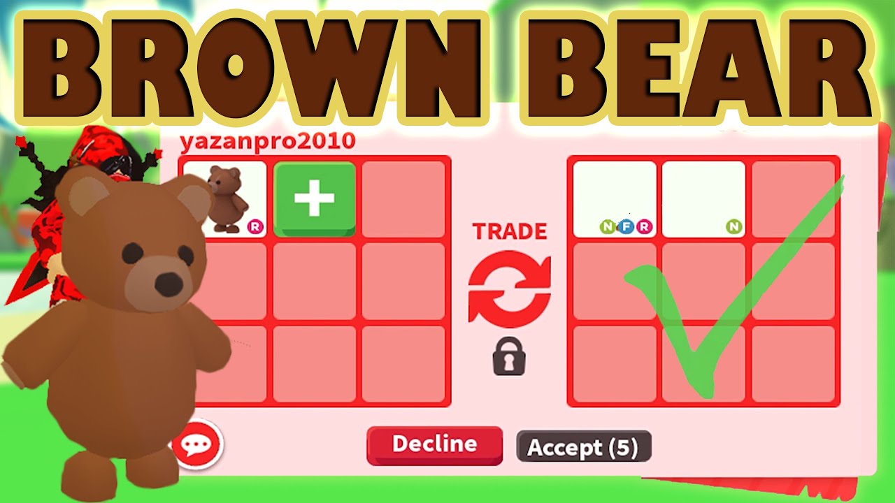Adopt JB the Male Brown Bear